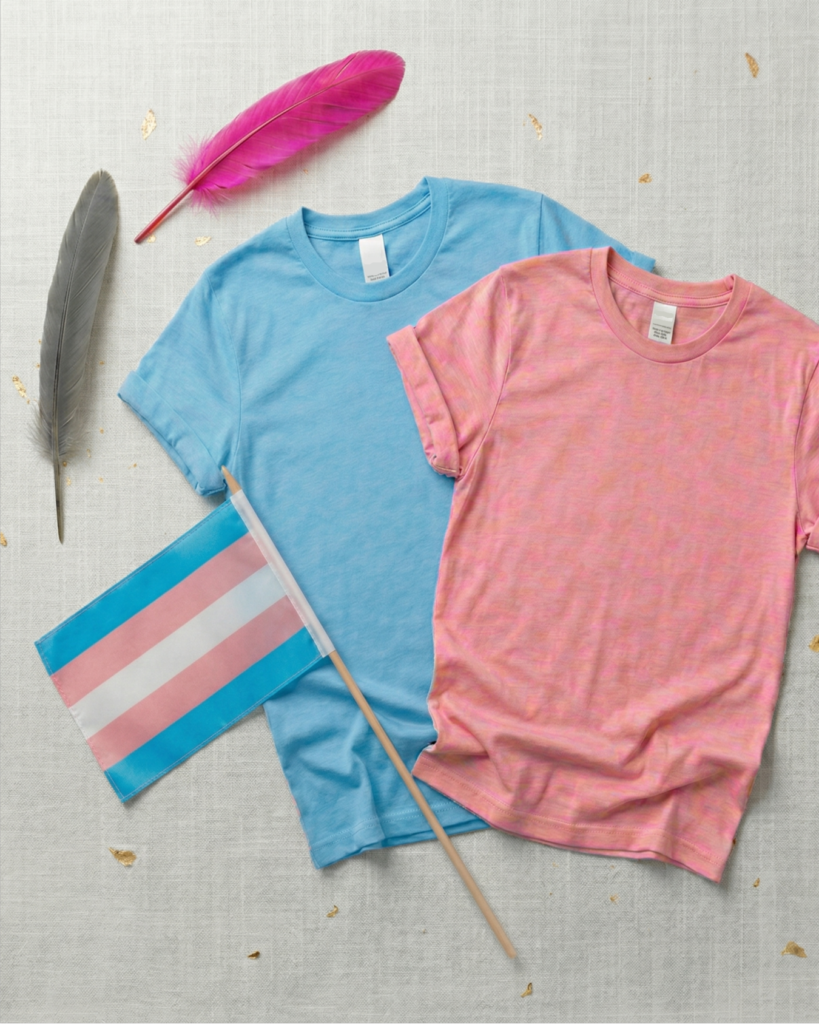 Image of Transgender flag and T-shirts for the Transgender product category